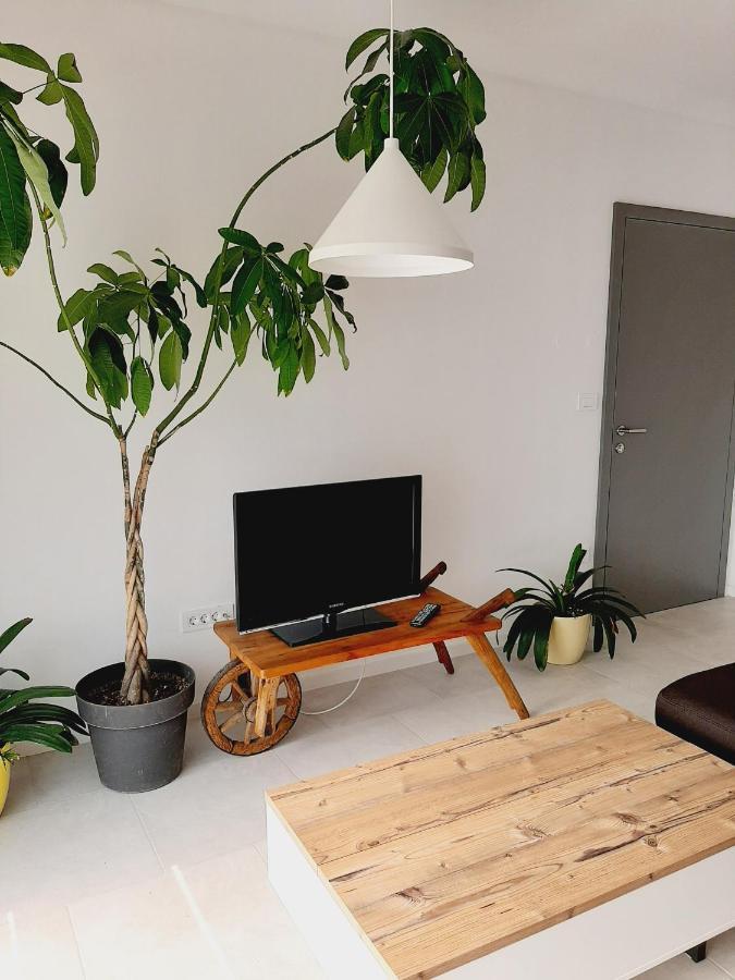 Green Bee Apartment Lesce  Exterior foto